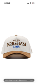 Brigham Brown Suede