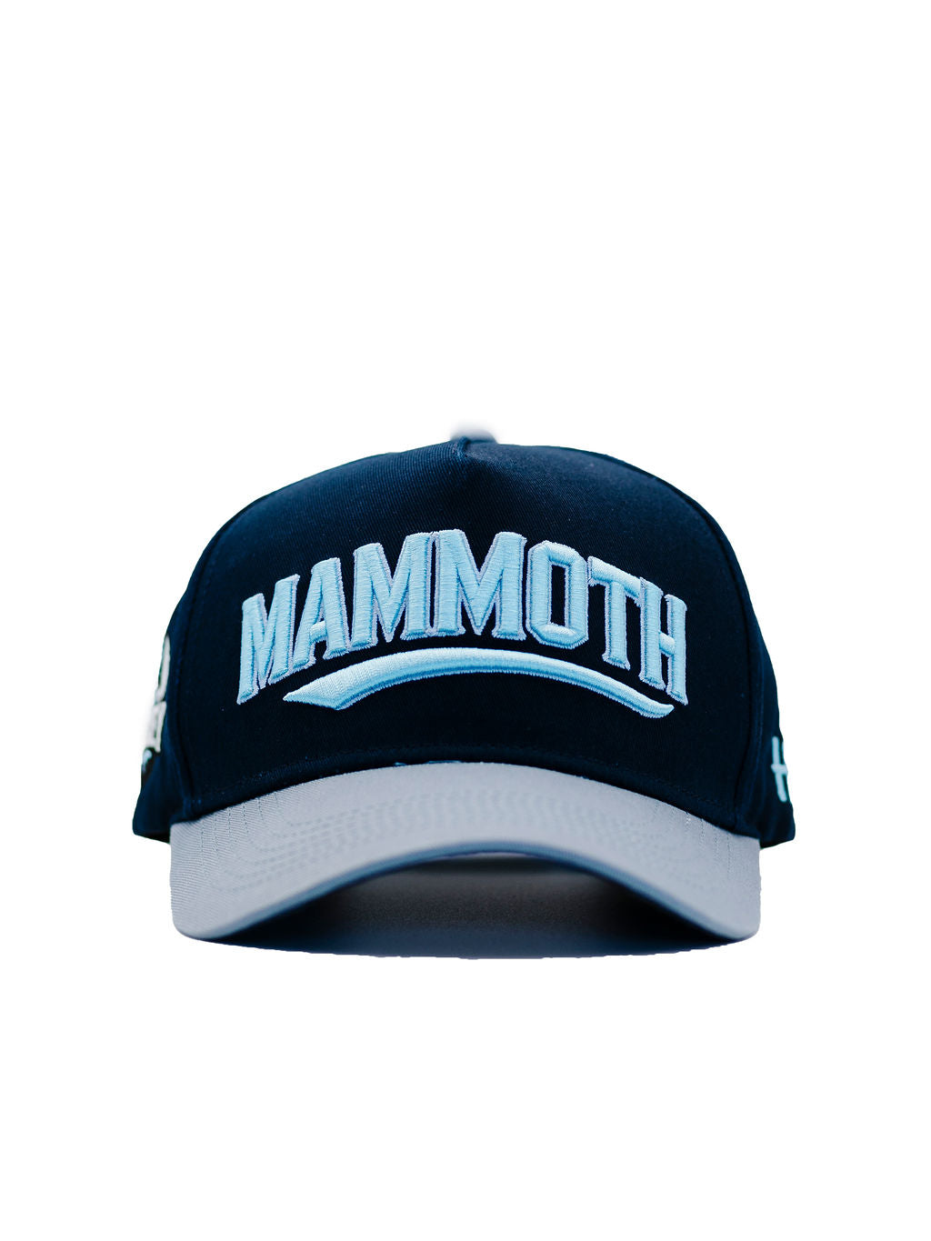 The Mammoth Collection